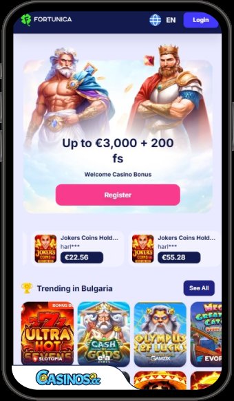 Introduction to casino fortunica